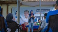 IMG-20241016-WA0016