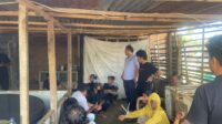 IMG-20250812-WA0037