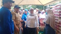IMG-20250917-WA0014
