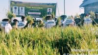 Oplus_16908288