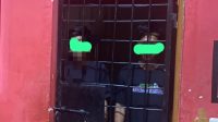 Oplus_16908288