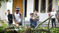 IMG-20251218-WA0008