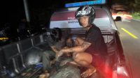 FB_IMG_1768087981095