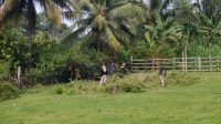 IMG-20260123-WA0024