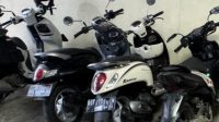Oplus_16908288