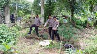 IMG-20260218-WA0009