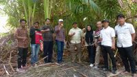 IMG-20260502-WA0015(1)