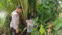 IMG-20260722-WA0006(1)