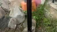 Oplus_16908288