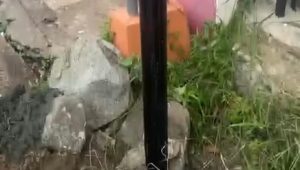 Oplus_16908288