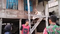 Oplus_16908288